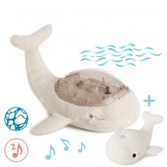 ͳ     Cloud b Tranquil Whale Family