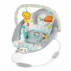 - BRIGHT STARTS Whimsical Wild