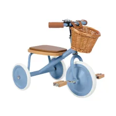    Banwood Trike Blue