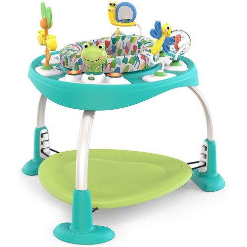     21 BRIGHT STARTS Bounce Baby Playful Pond