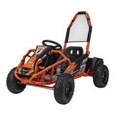   RAMIZ Buggy MUD MONSTER