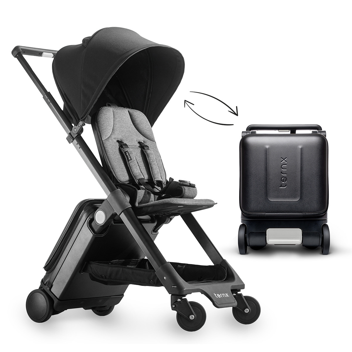 ������������ ������� � ������� ����� 2�1 TernX